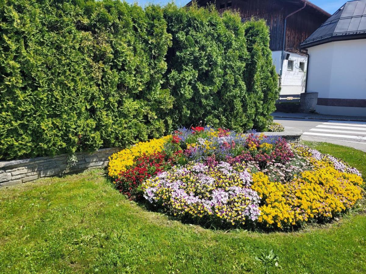 Ferienwohnung Schatz Breitenwang ภายนอก รูปภาพ
